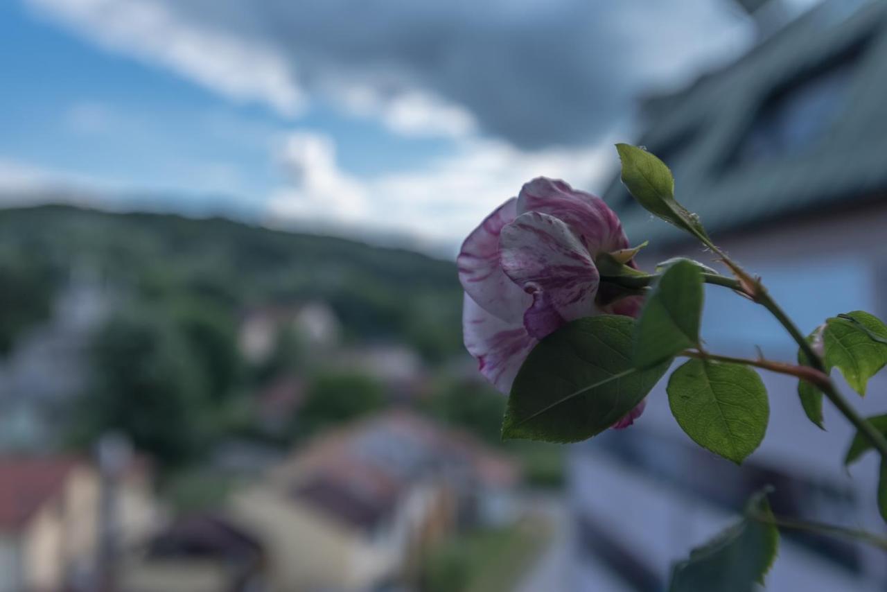 Onore Dell Amore Apartman Sa Djakuzijem Banja Koviljaca Exterior photo